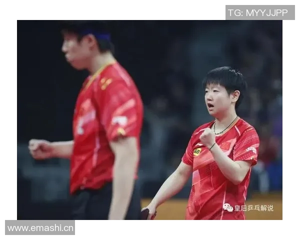 成都网球队战术深度解析与对比分析探讨