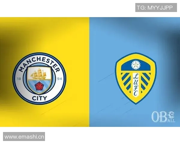 英超常年保级球队解析